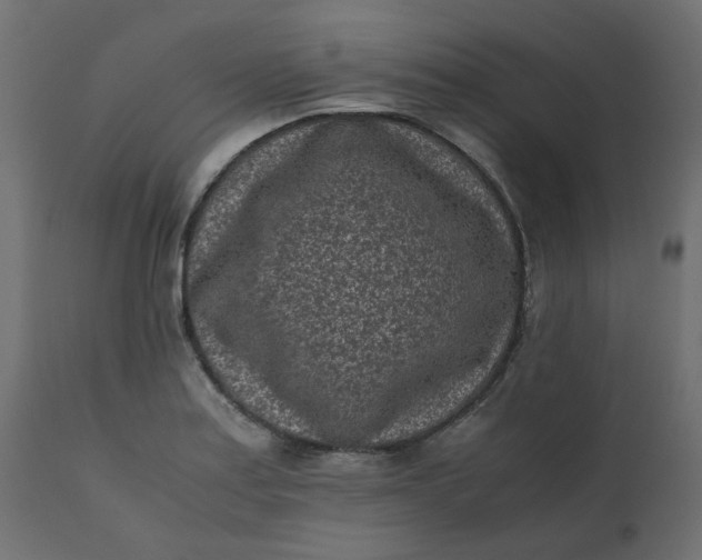 X0000110731179200906261512