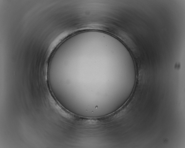 X0000110731180200906261512