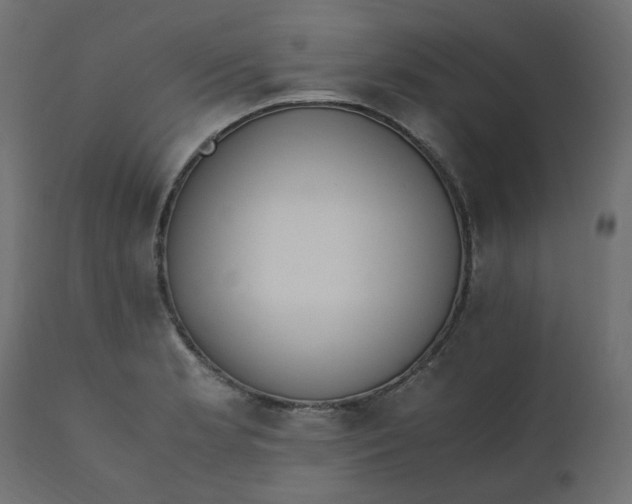 X0000110731181200906261512