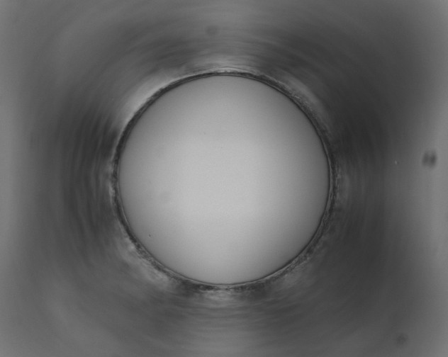 X0000110731182200906261512