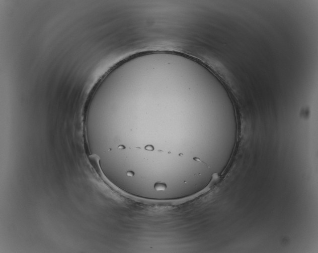 X0000110731184200906261512