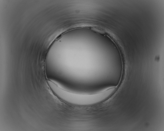 X0000110731185200906261512