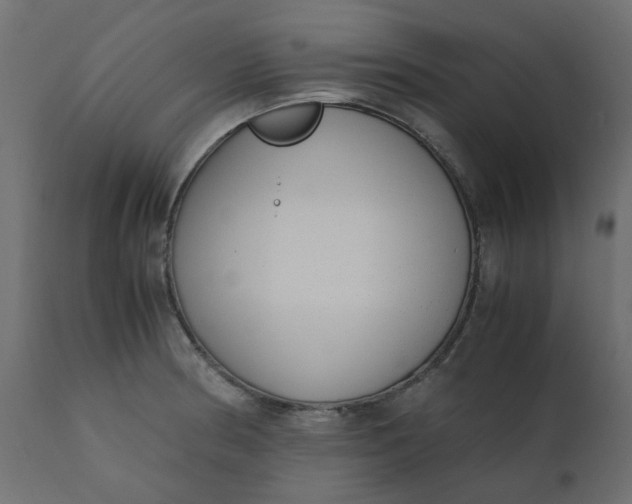 X0000110731186200906261512