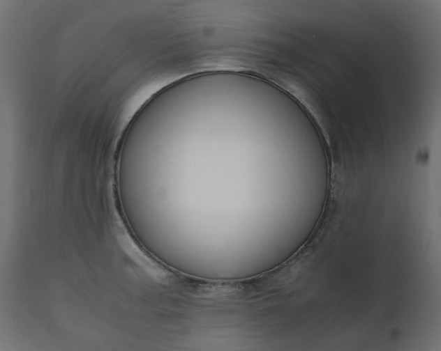 X0000110731187200906261512