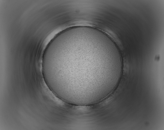 X0000110731188200906261511