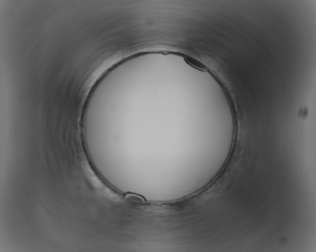 X0000110731189200906261511