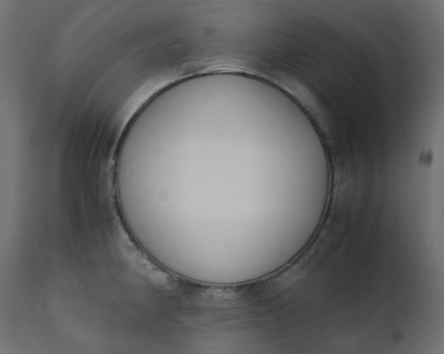 X0000110731190200906261511