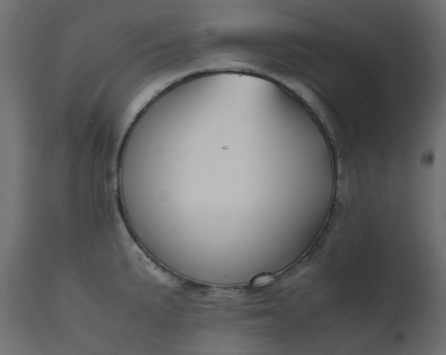 X0000110731191200906261511