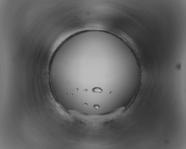 X0000110731192200906261511