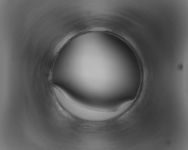 X0000110731193200906261511