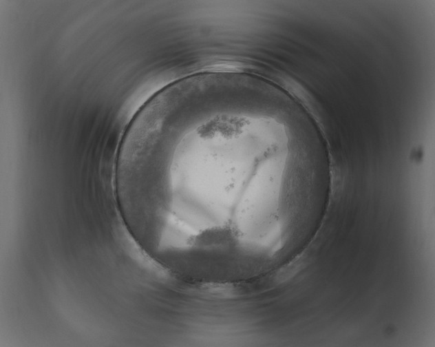 X0000110731194200906261511