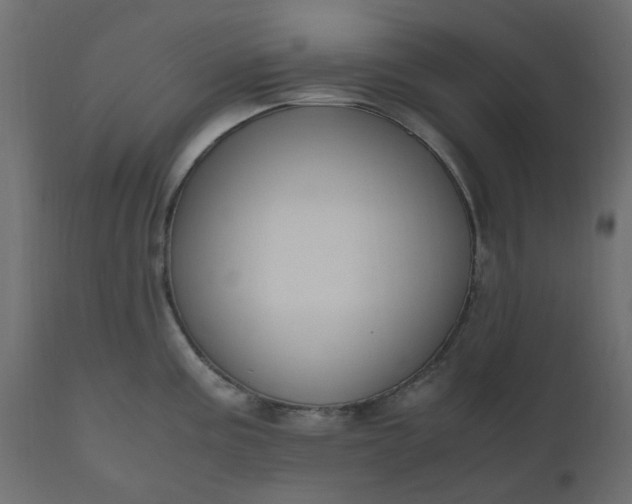 X0000110731195200906261511