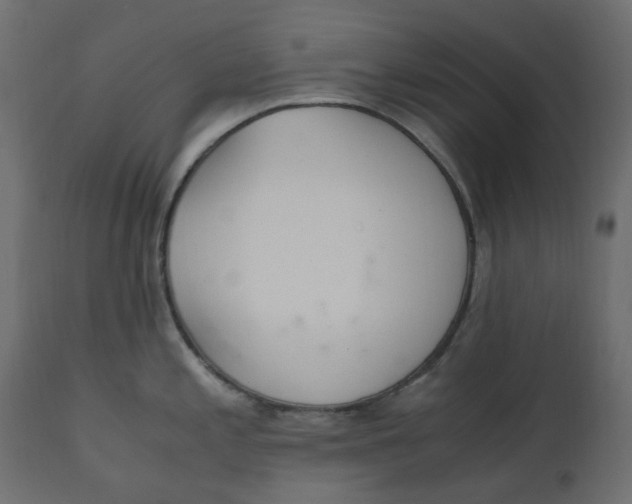 X0000110731197200906261511