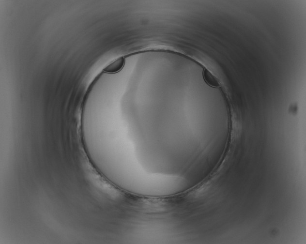 X0000110731198200906261511