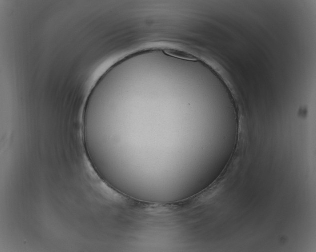 X0000110731199200906261511