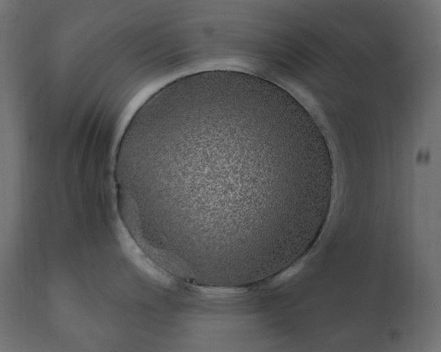 X0000110731200200906261511