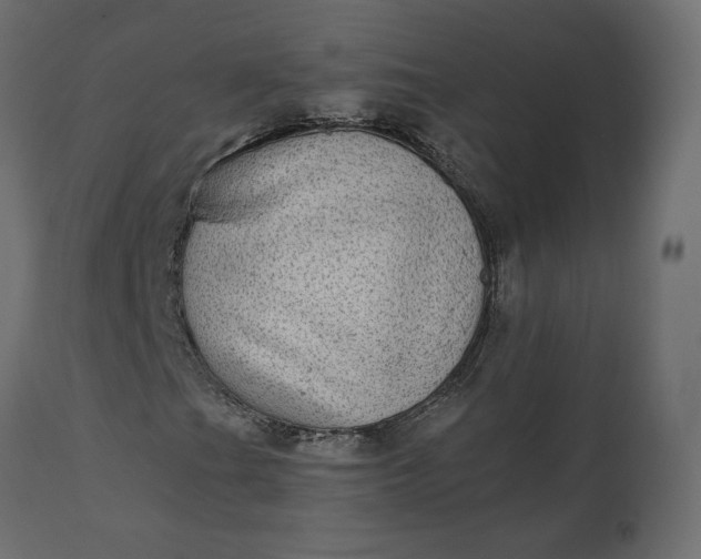 X0000110731201200906261510