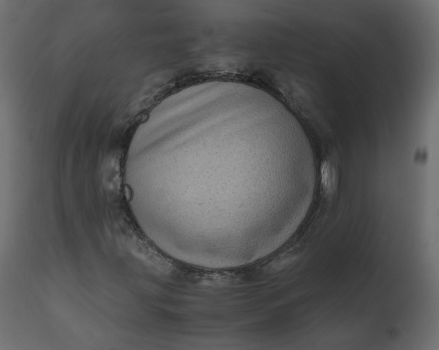 X0000110731203200906261511