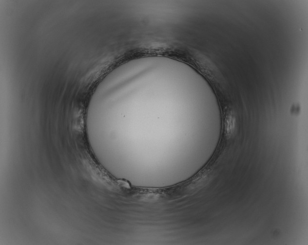 X0000110731204200906261511