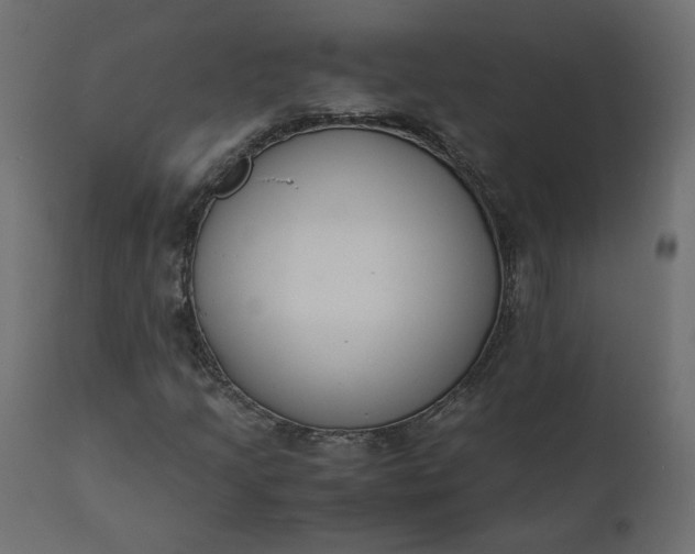 X0000110731205200906261511