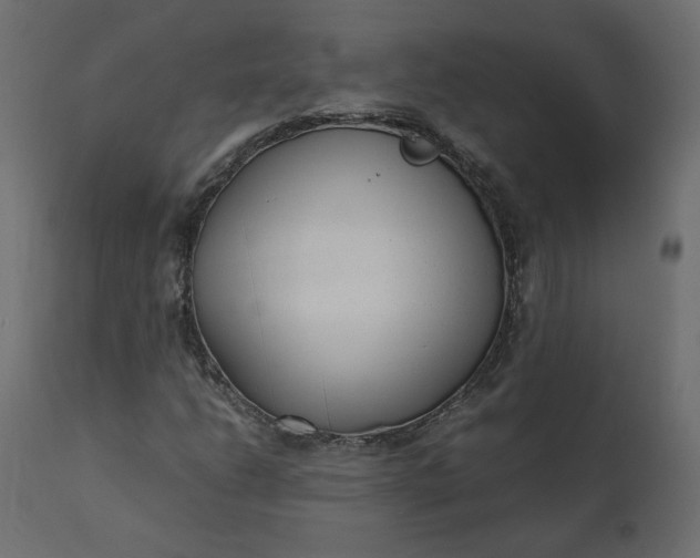 X0000110731206200906261511