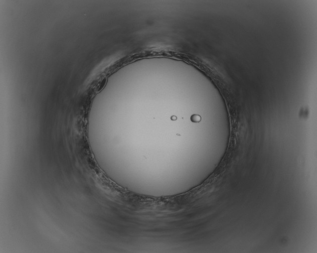 X0000110731207200906261511