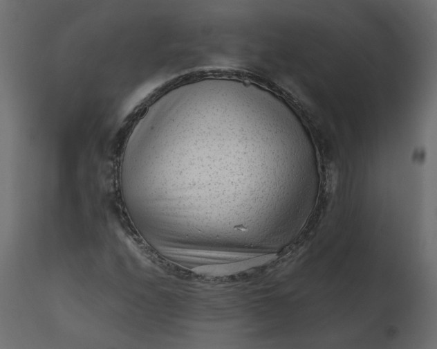 X0000110731208200906261511