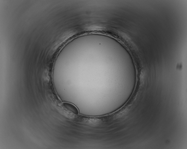 X0000110731209200906261511