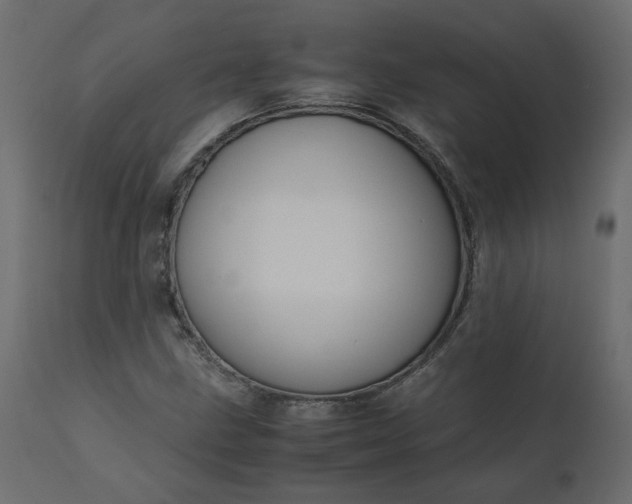 X0000110731211200906261511