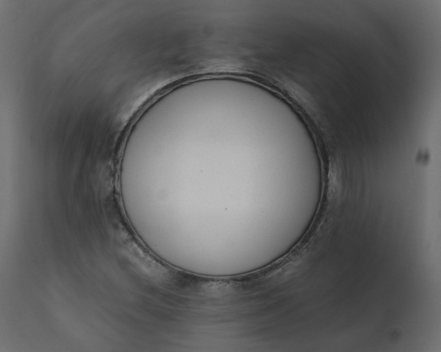 X0000110731212200906261511