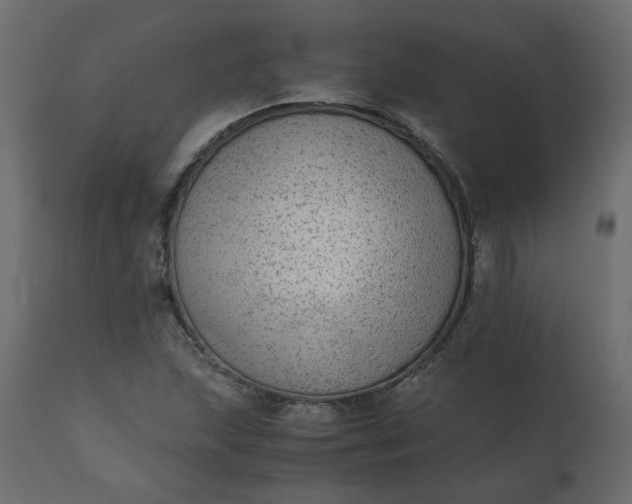 X0000110731215200906261511