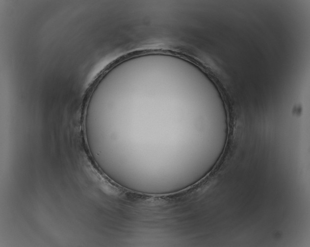 X0000110731216200906261511