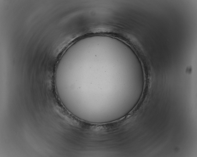 X0000110731217200906261511