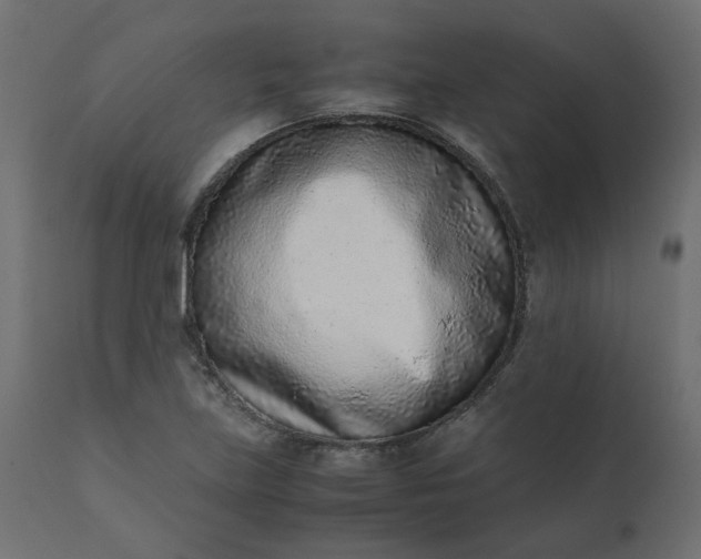 X0000110731219200906261511