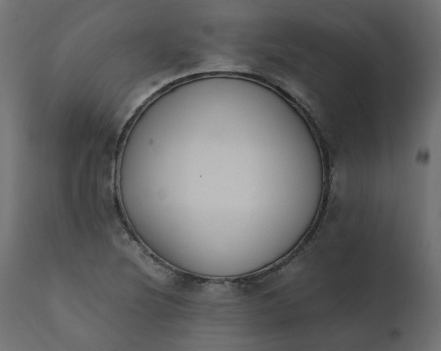 X0000110731220200906261511