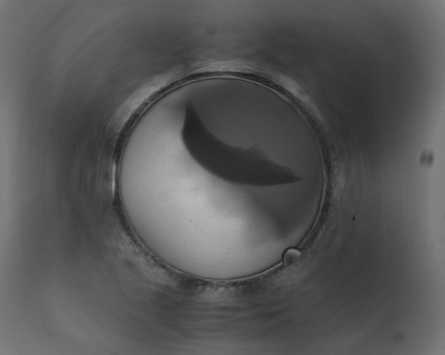 X0000110731221200906261511