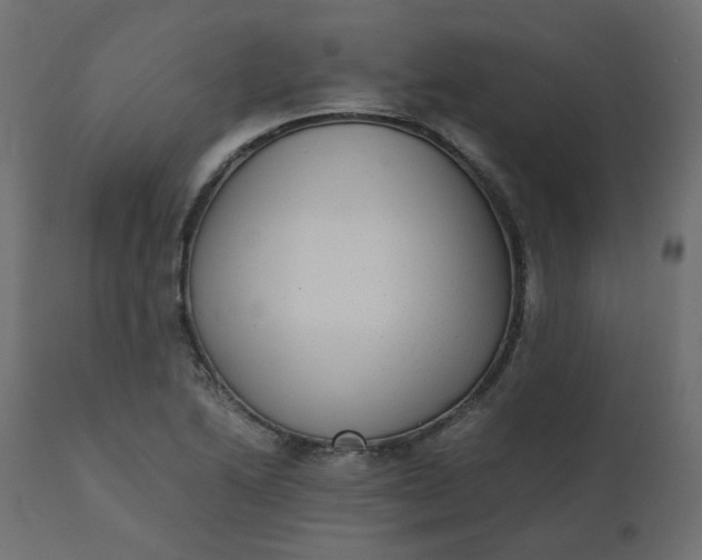 X0000110731222200906261511