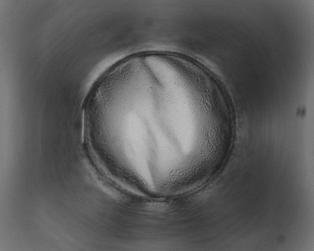 X0000110731223200906261511