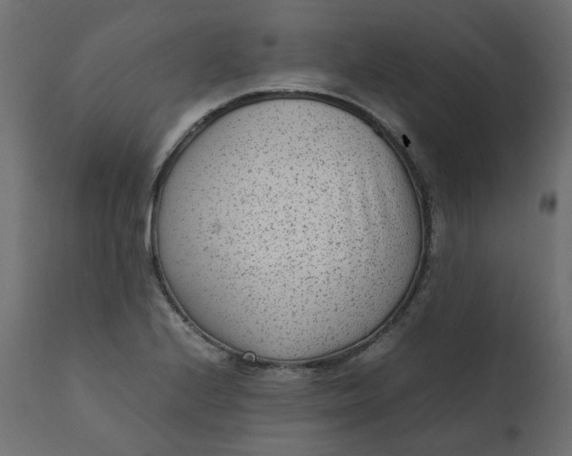 X0000110731224200906261511