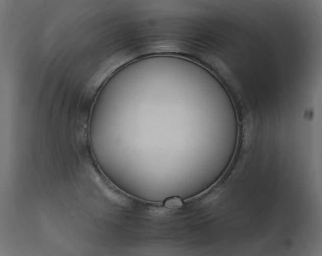 X0000110731225200906261511