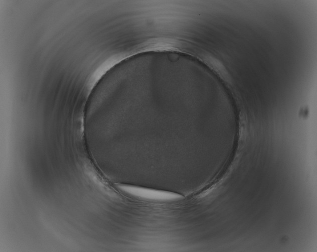 X0000110731226200906261511