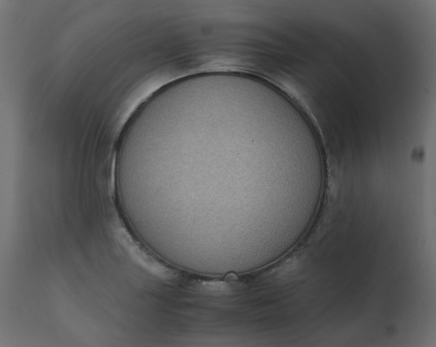 X0000110731227200906261511