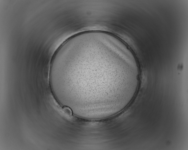 X0000110731228200906261511