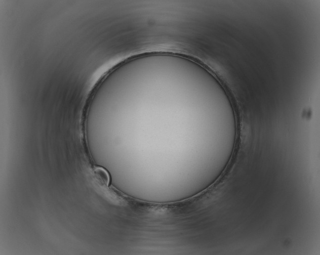 X0000110731230200906261511