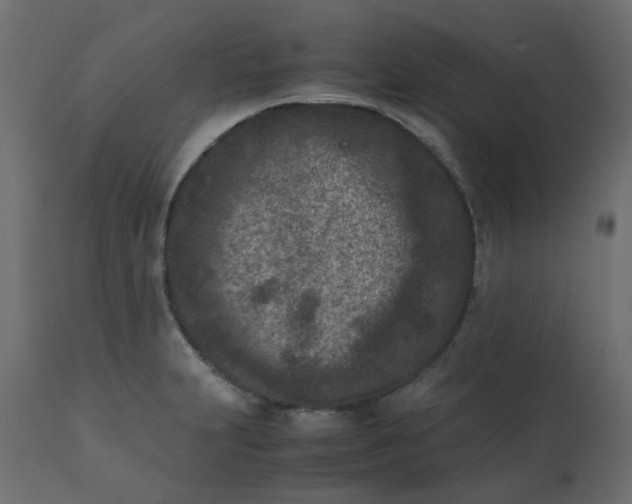 X0000110731231200906261511