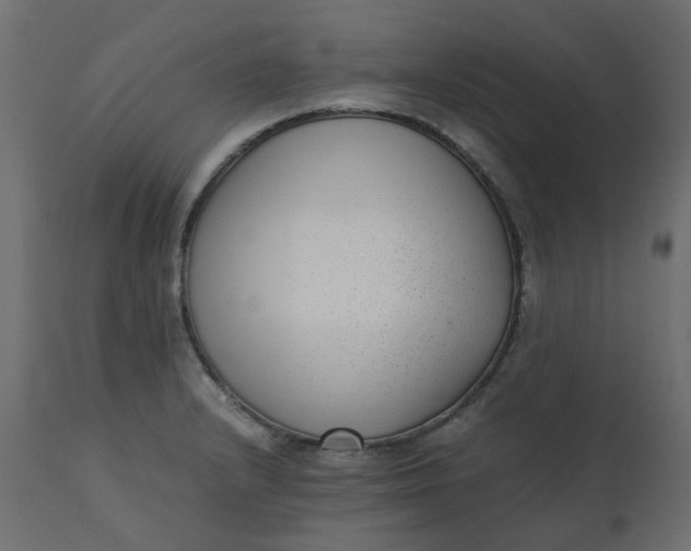 X0000110731232200906261511