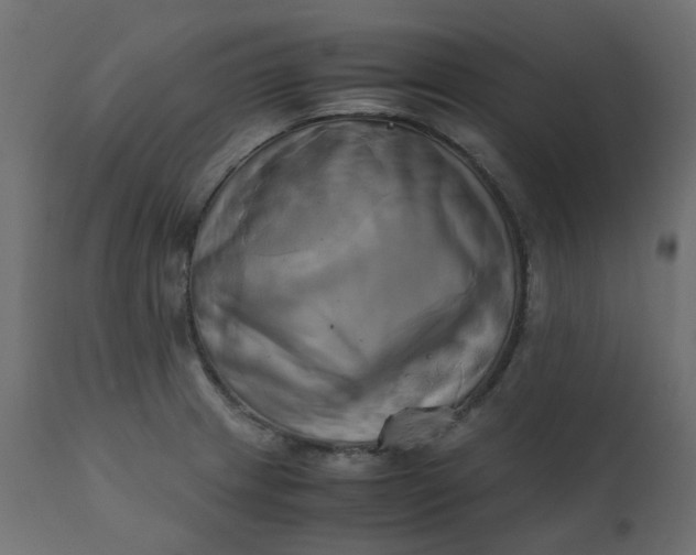 X0000110731233200906261511