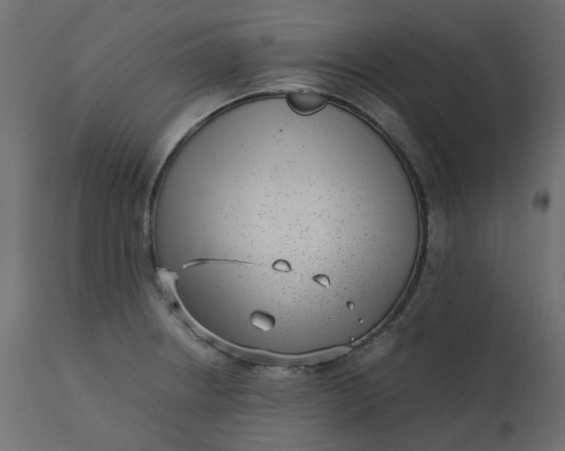 X0000110731234200906261511