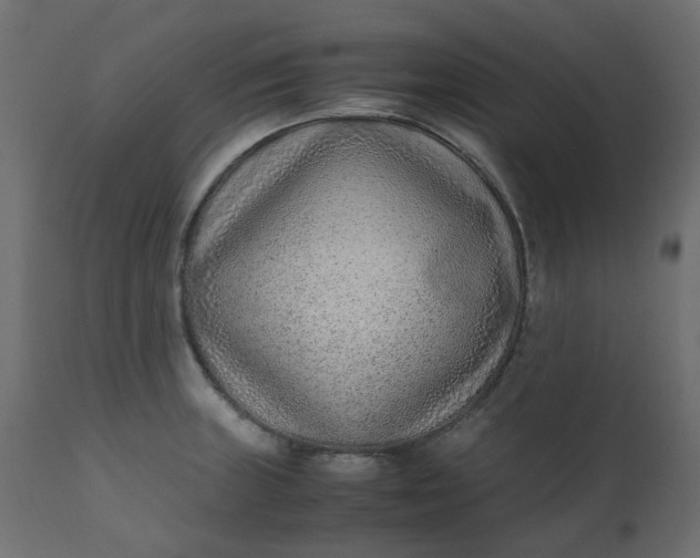 X0000110731235200906261511