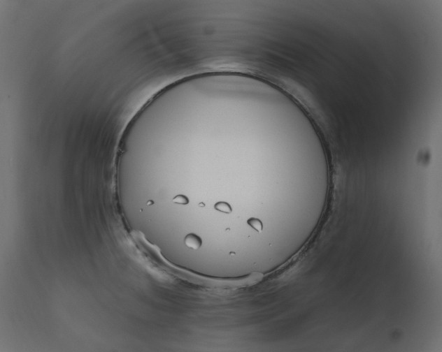 X0000110731236200906261511